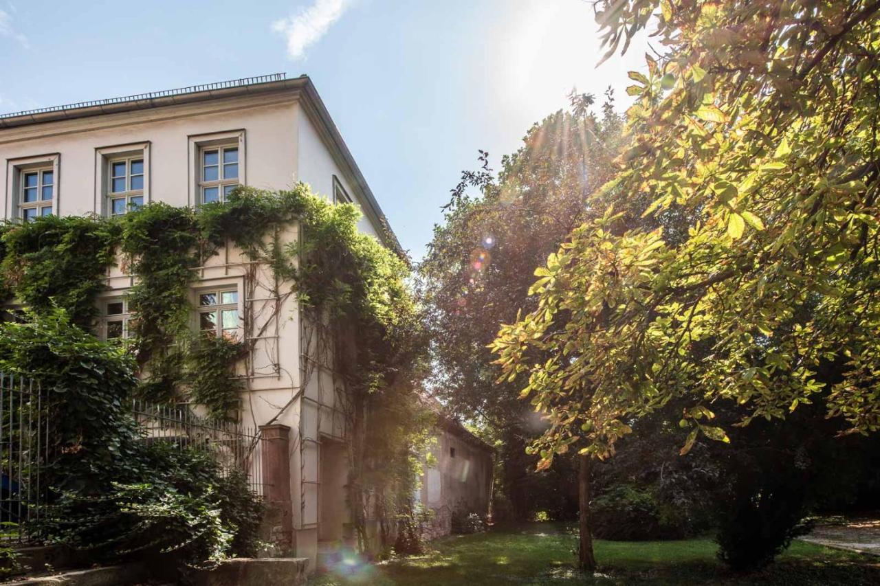 Ferienwohnung Am Dom Naumburg  Bagian luar foto